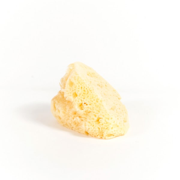 sea_sponge_large Focus-Thrace Cosmetics Σφουγγάρι Θαλάσσης Σώματος Μεγάλο - Image 1